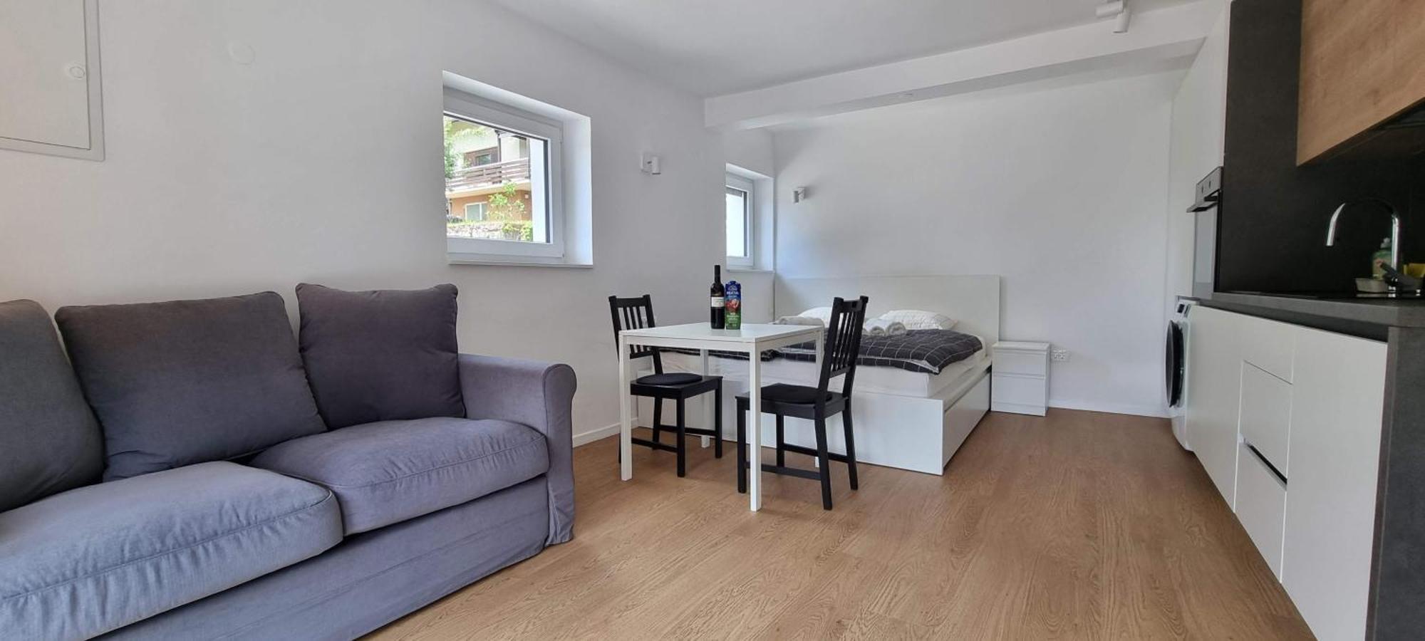 Naia Apartments Novo Mesto Kültér fotó